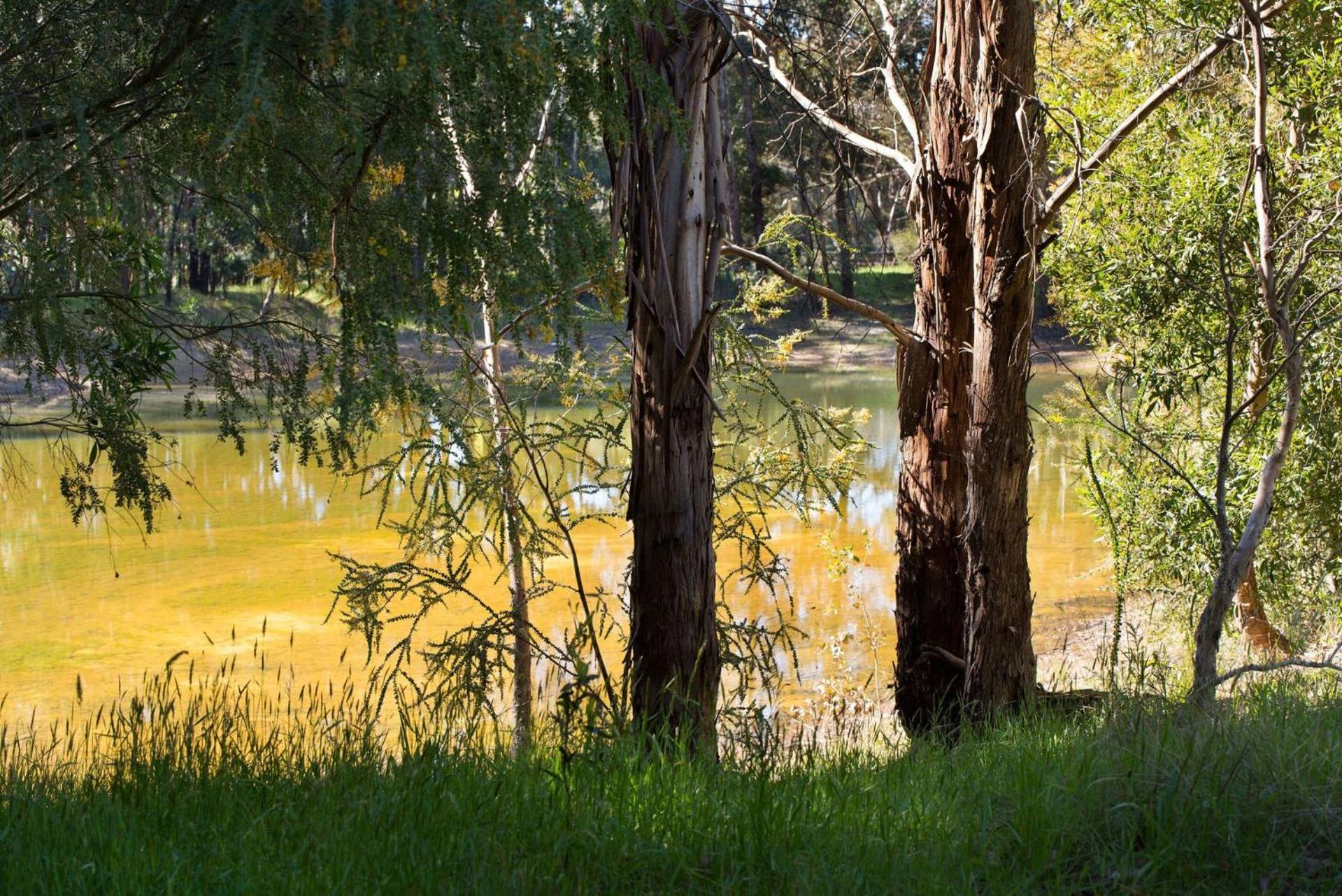 Villa Bodhi Daylesford Exterior foto